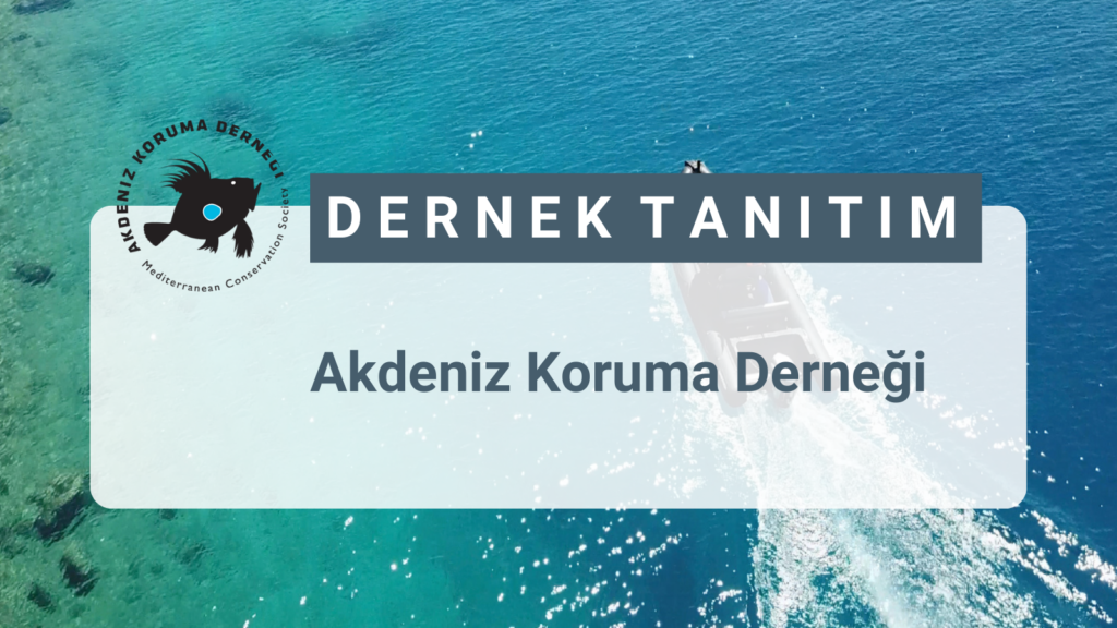 Akdeniz Koruma Derneği, 2012 yılında ulusal bir sivil toplum kuruluşu olarak İzmir’de kuruldu.