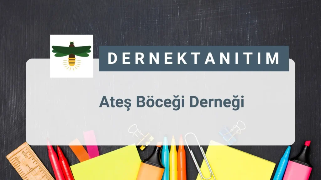 Ateş Böceği Derneği’nin doğumu 2016 yılına dayanmaktadır. İlk olarak Pamukkale Üniversitesinde doğayı ve hayvanları koruma topluluğu olarak faaliyete başlayan dernek kurucuları aynı yıl 10.000 Kiloya yakın mama dağıtımı gerçekleştirmiştir. Pamukkale Üniversite Kampüsünde 10 Köpek Kulübesi ve 15 kuş yuvası yapmıştır. Bu faaliyetlerden sonra dernek resmi olarak 2017 yılında kuruluşunu gerçekleştirmiştir.