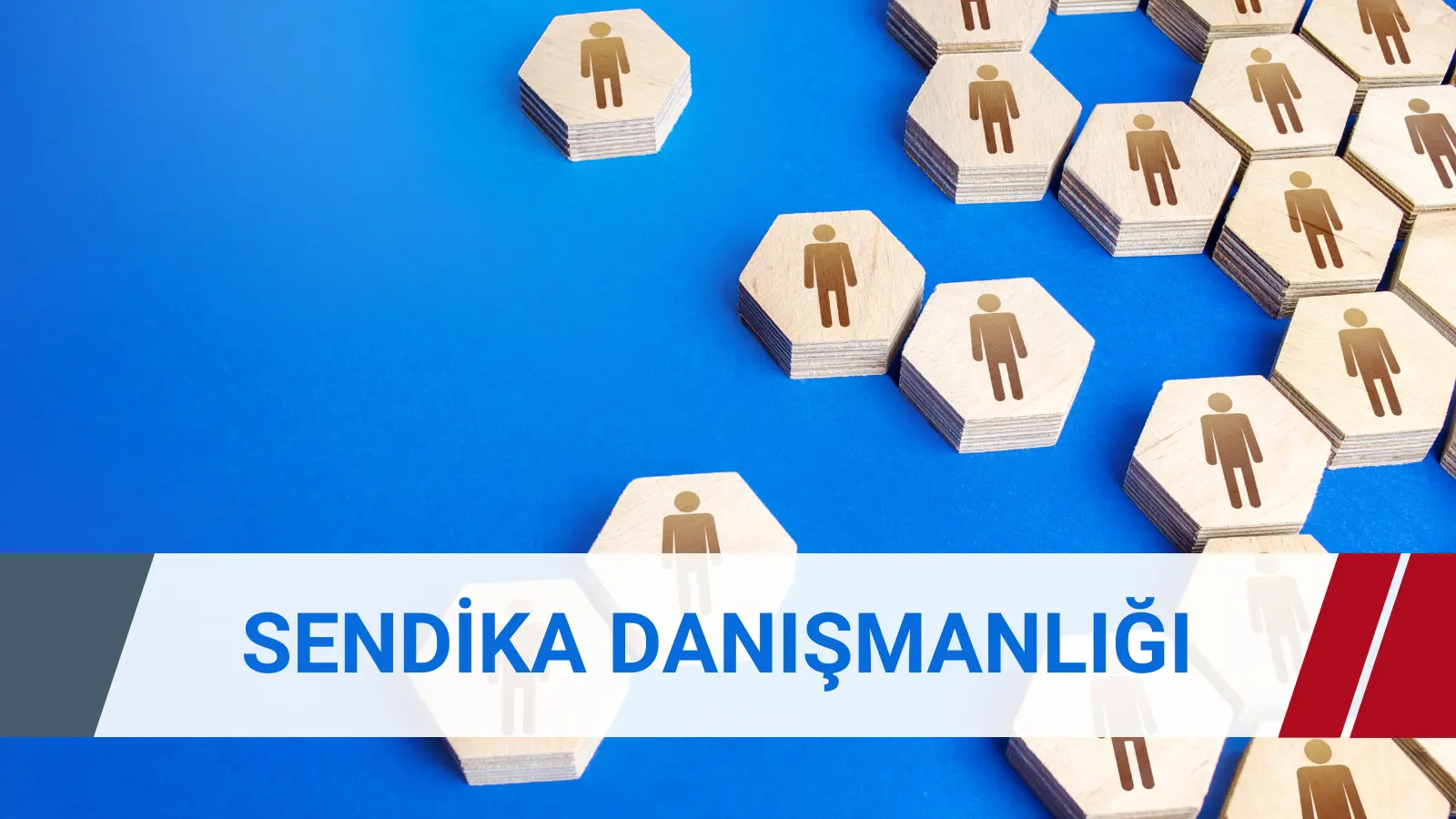 sendika danışmanlığı hizmeti kapsamında işçi ve işveren sendikası kurulumu